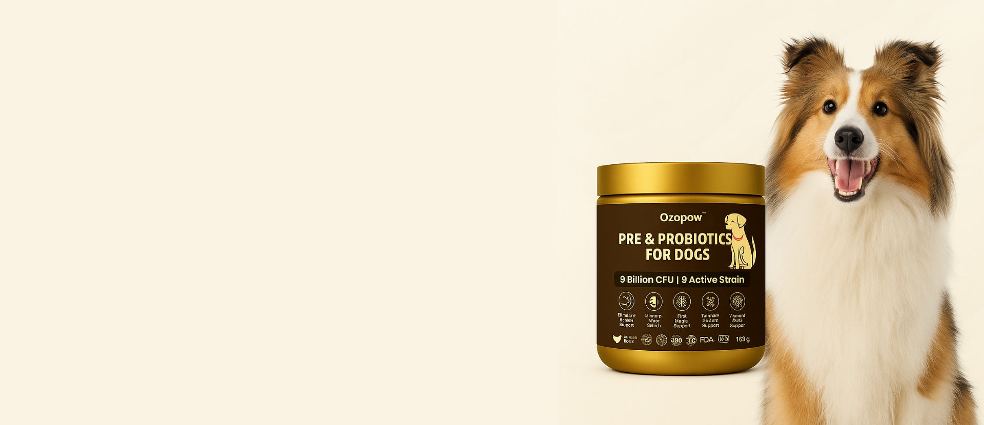 Nutritious Meals <br>for Your Pet