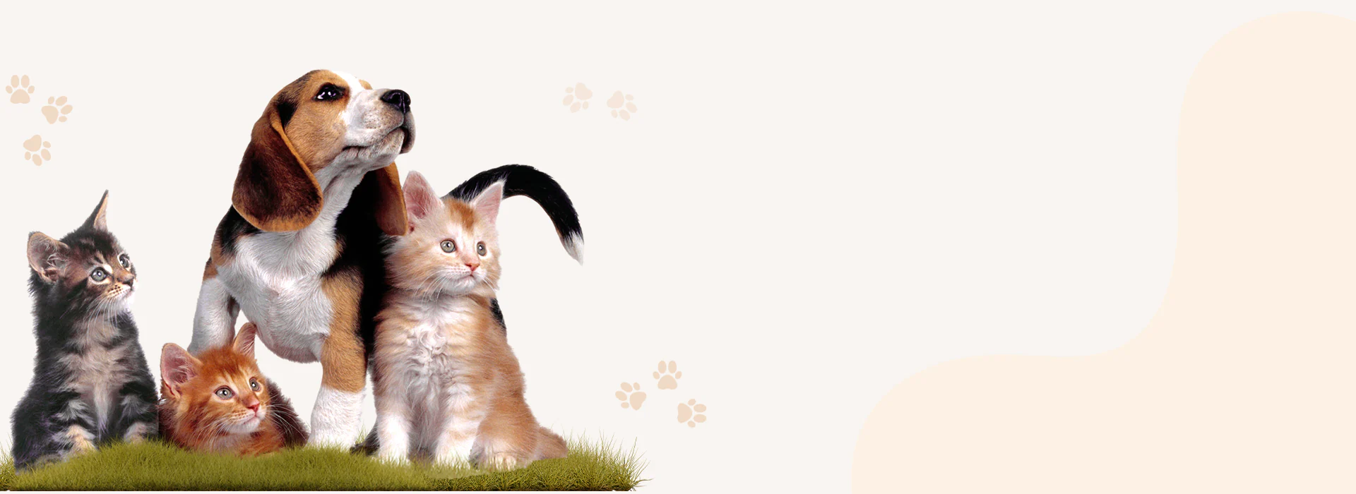 Find the Perfect <br>Nutrition Match