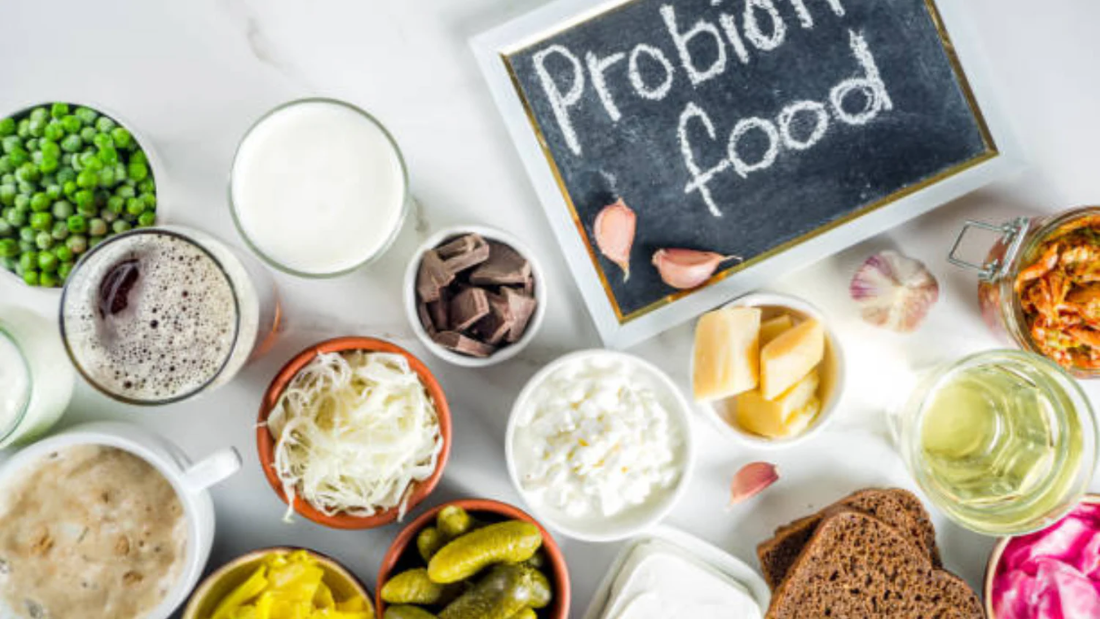 Introduction to Probiotic Benefits