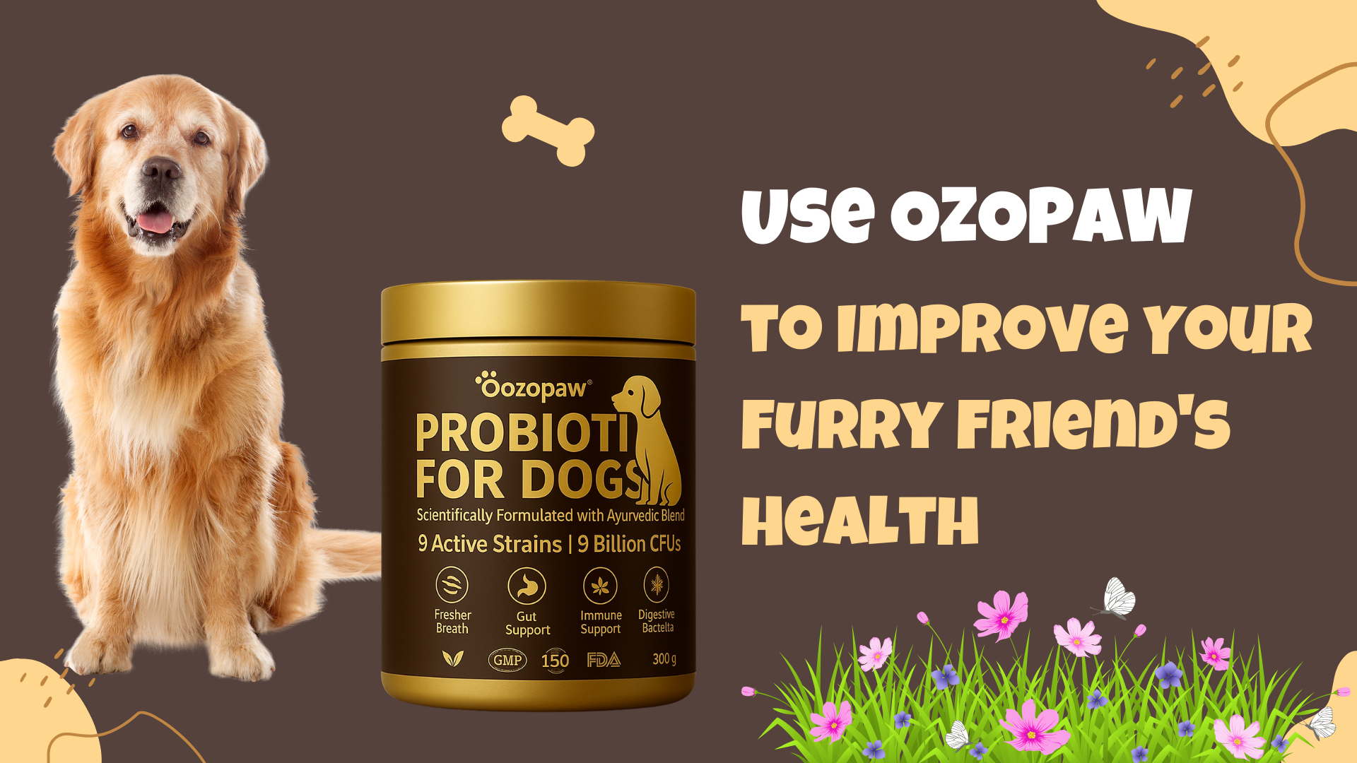 Pet Supplement Guide: Use OZOPAW to Improve Your Furry Friend's Health