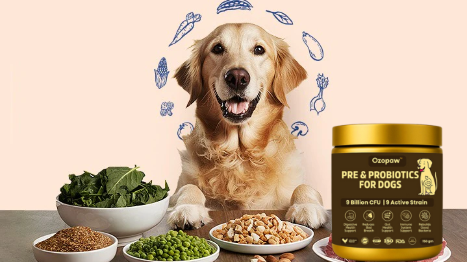 The Role of Ayurvedic Herbs in Supporting Dog Digestion