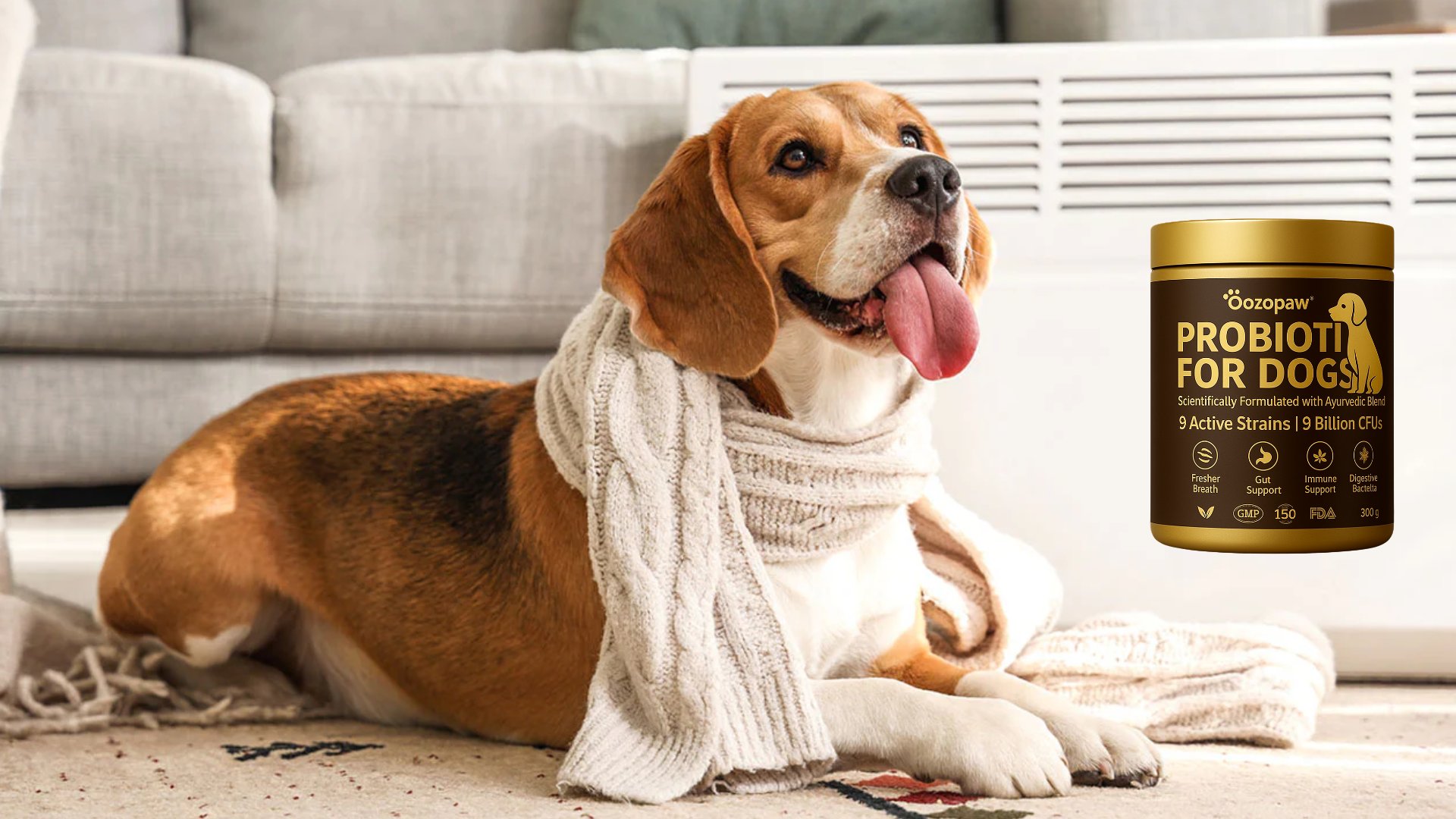 How to Keep Your Dog Healthy & Happy