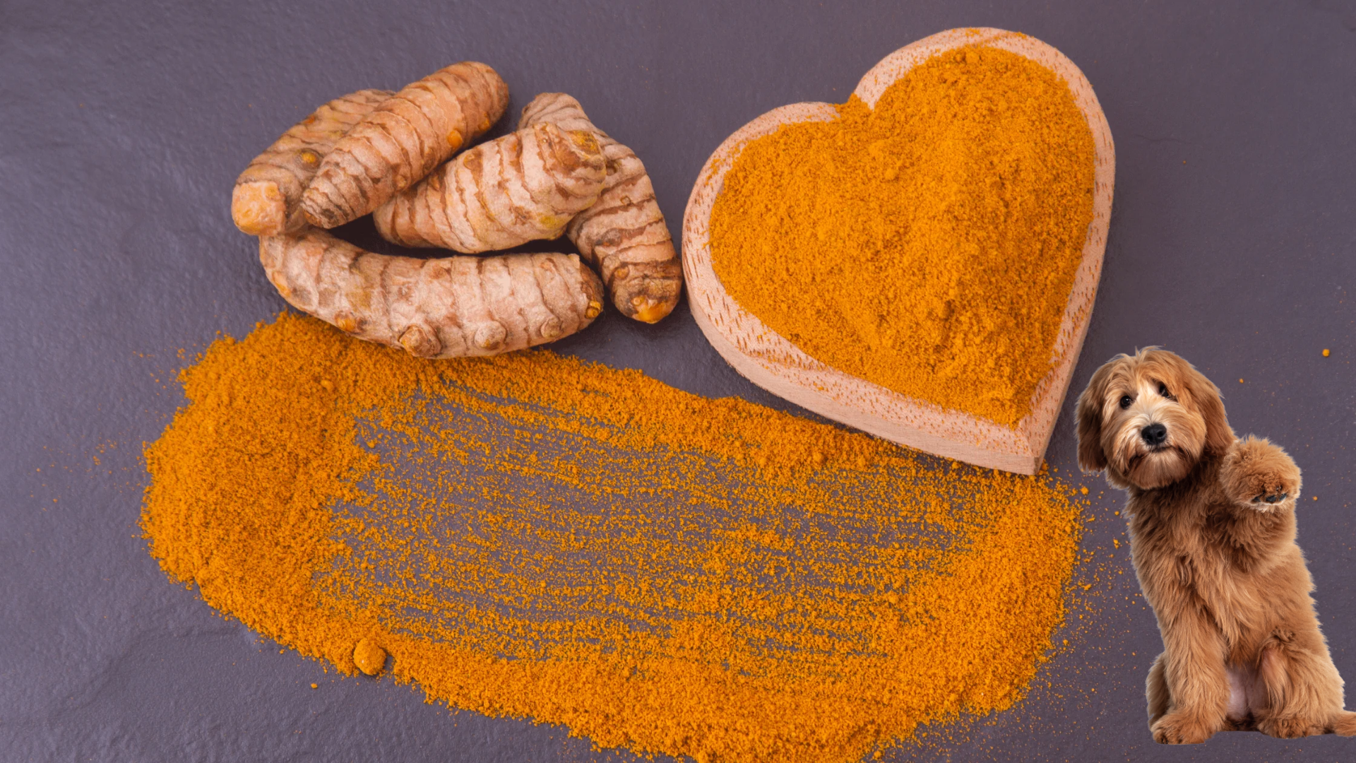 15 Health Benefits Of Turmeric Food For Your Dog