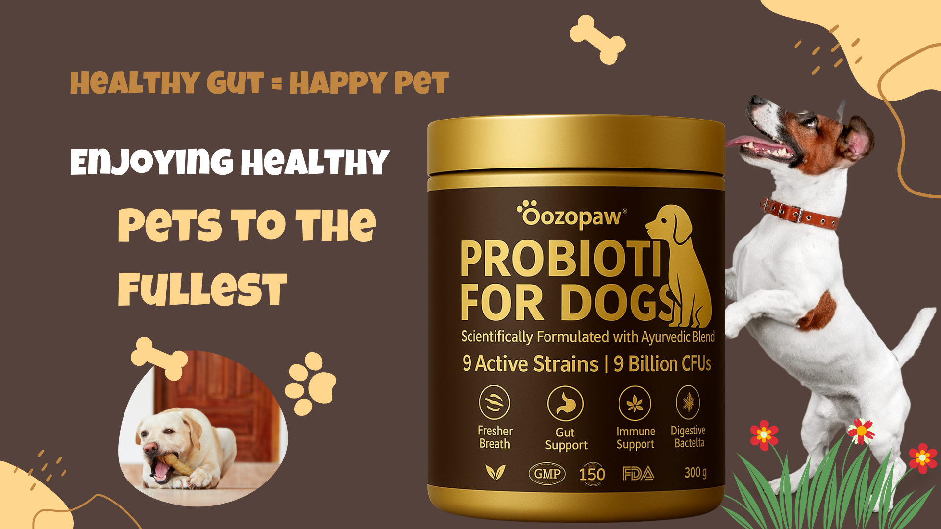 Enjoying Healthy Pets to the Fullest: An Adventure with OZOPAW