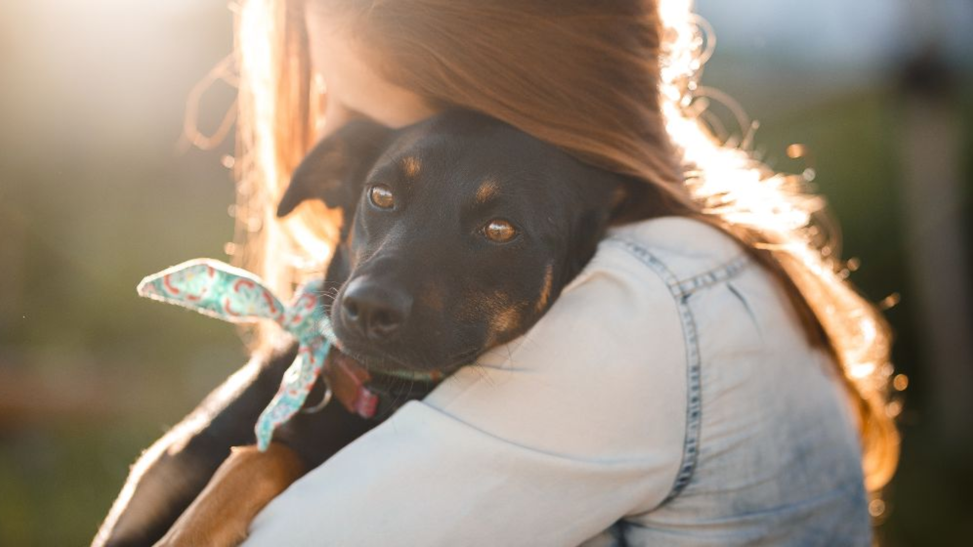 Need A Charming Friend? Buy A Dog