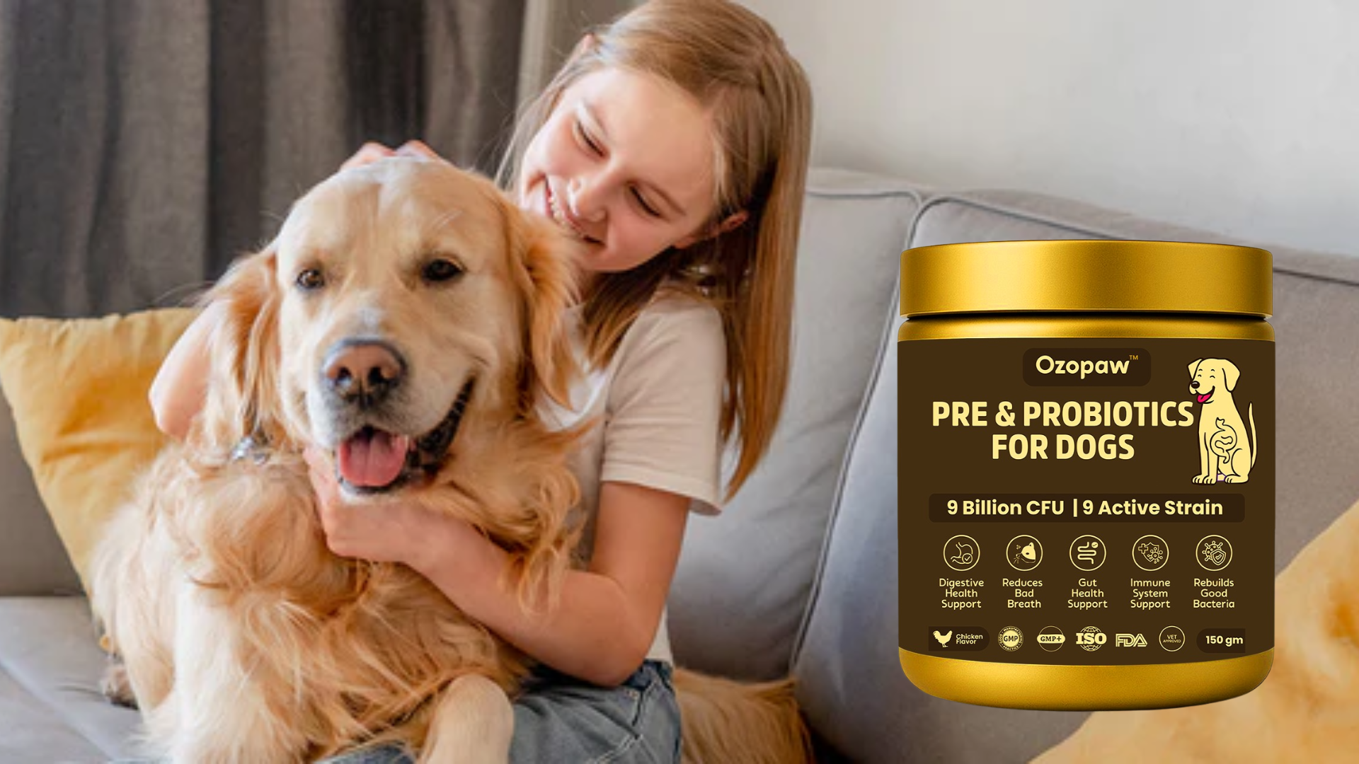 Why Your Dog's Happiness Is Dependent on Gut Health