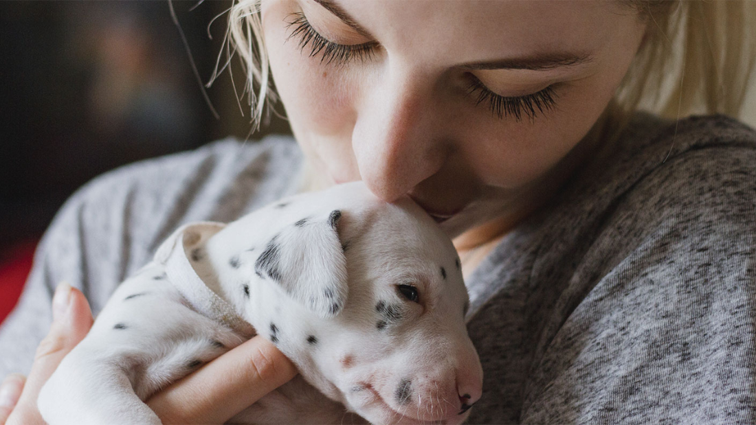 How to Tell if Your Dog Needs a Supplement Boost