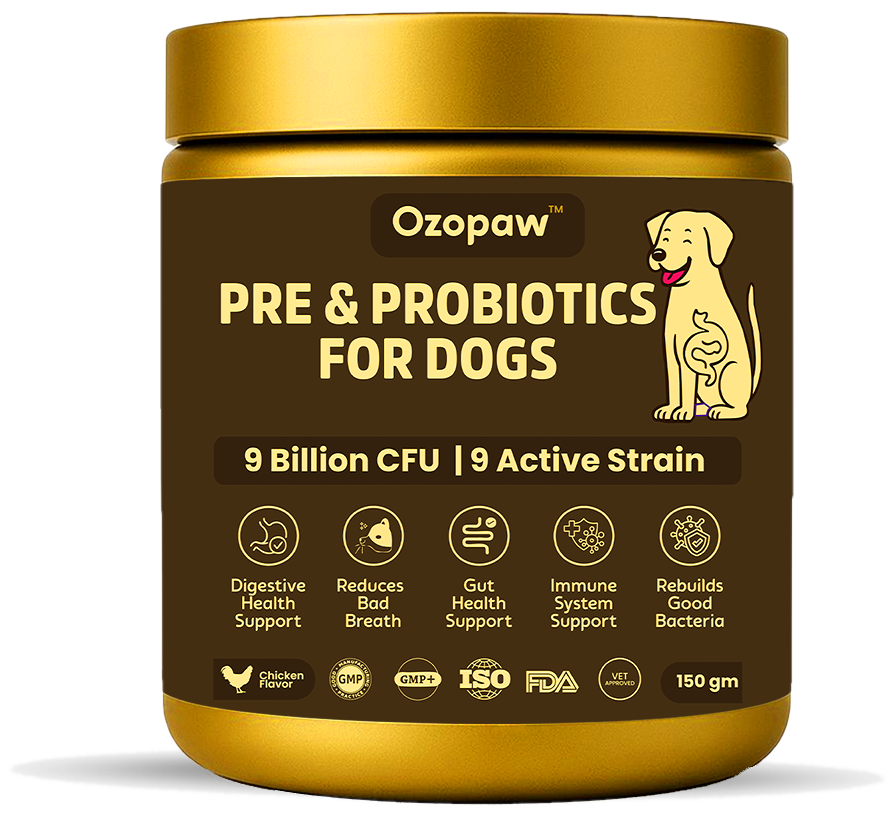 Pre & Probiotics for Dogs | 9 Billion CFU, 9 Strains | Chicken Flavour | 150g Powder